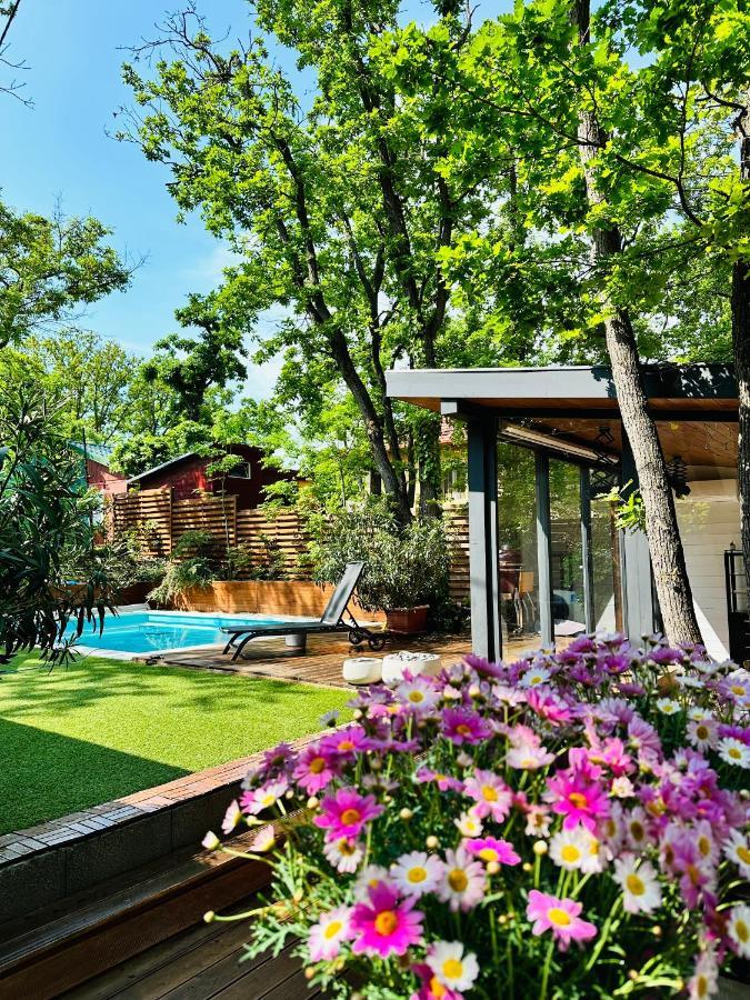 Pine-Wood Resort Balatonalmádi Eksteriør billede